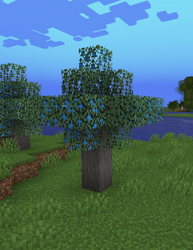 An image of the Juniper Tree